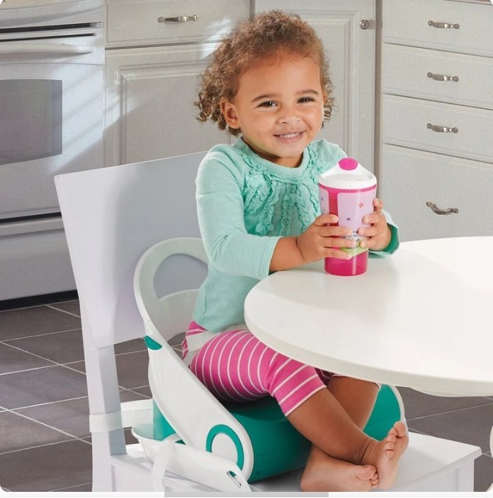 Children's Folding Booster Seat