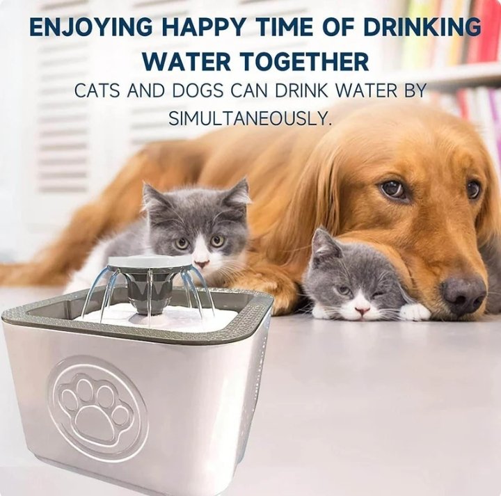 Paw Perfect Pet Water Fountain