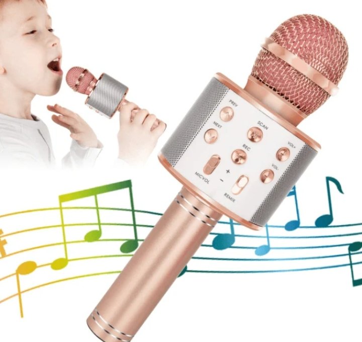 5in1 Wireless Karaoke Microphone