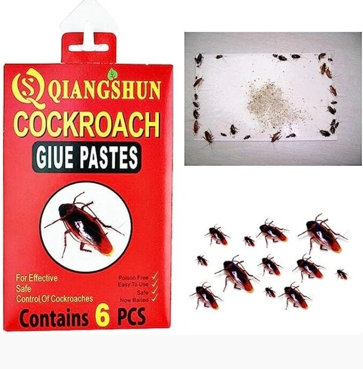 Cockroach Traps (6 pcs) - Image 2